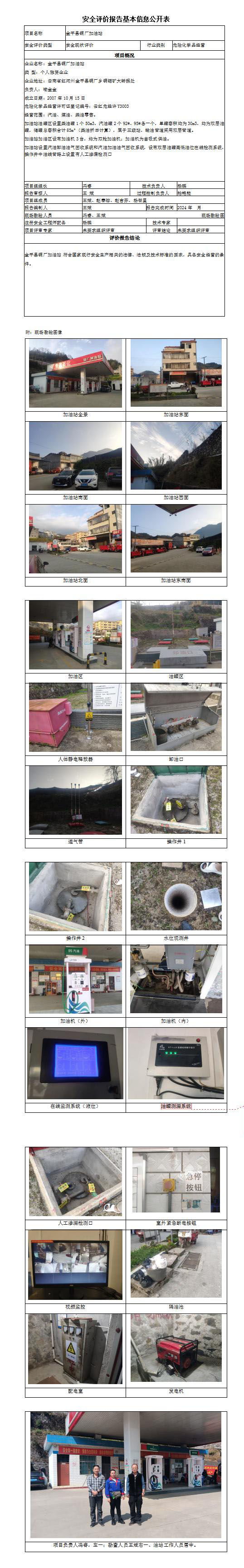 安全評價報告基本信息公開表 金平縣銅廠